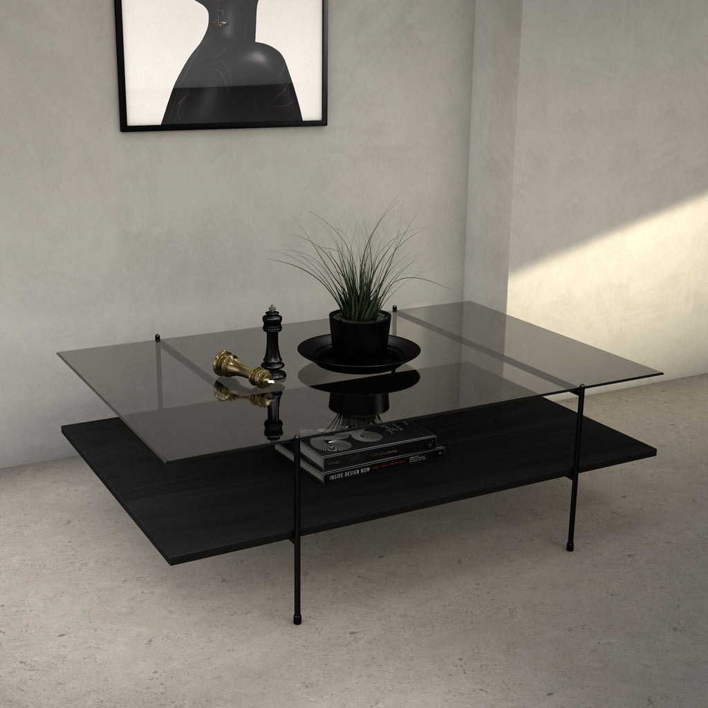 Mesa de centro moderna elevable 100 x 50 x 45, color: plomo-cristal negro